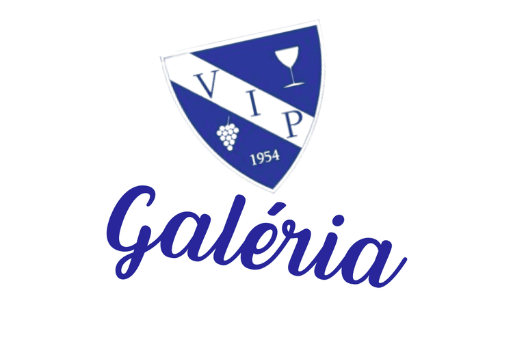 Kiállításmegnyitó a VIP Galériában