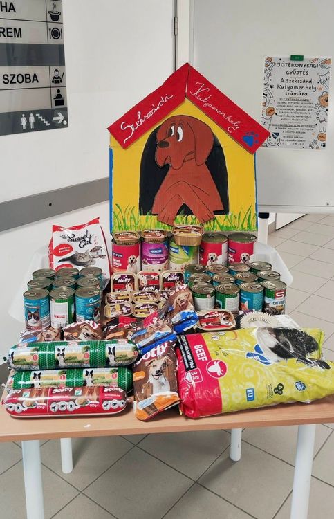 Sikeres Fenntarthatósági Témahét iskolánkban